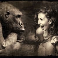 Gorilla and woman laughing